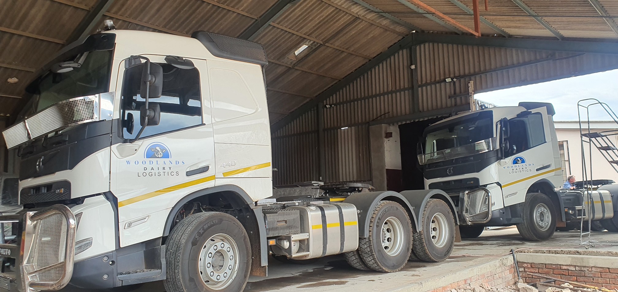 Window tinting and safety film specialist