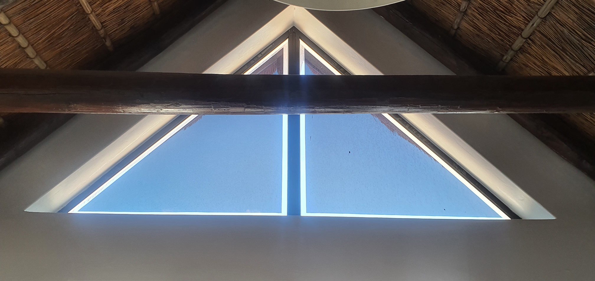 Window tinting and safety film specialist